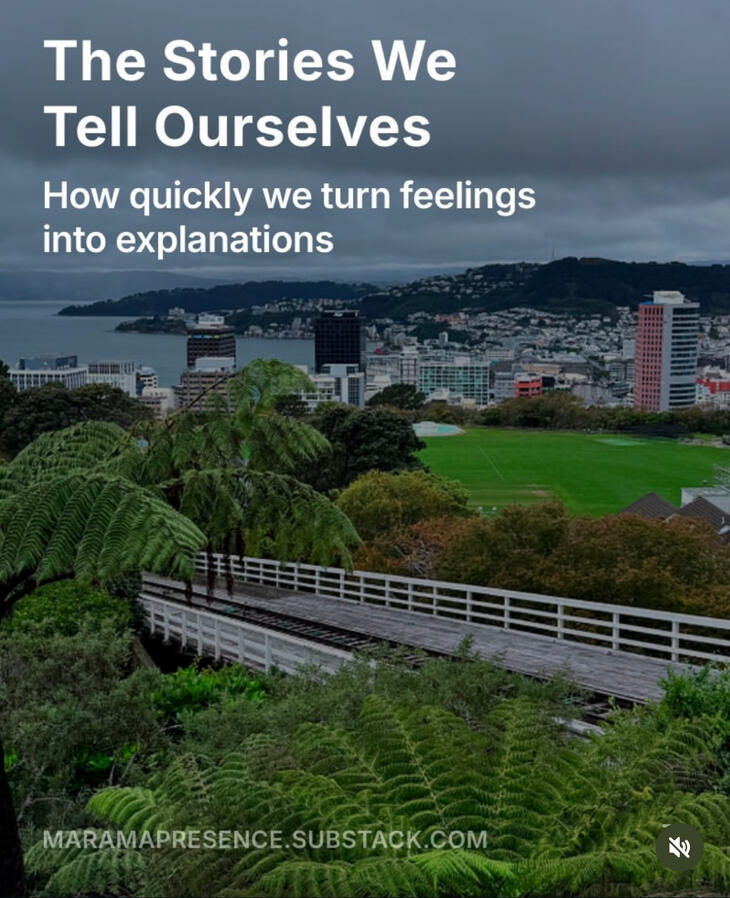 The Stories We Tell Ourselves
